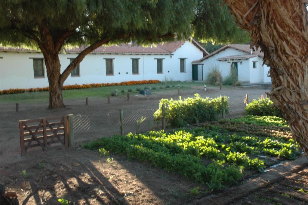 Hacienda De Molinos Hotel Eksteriør billede